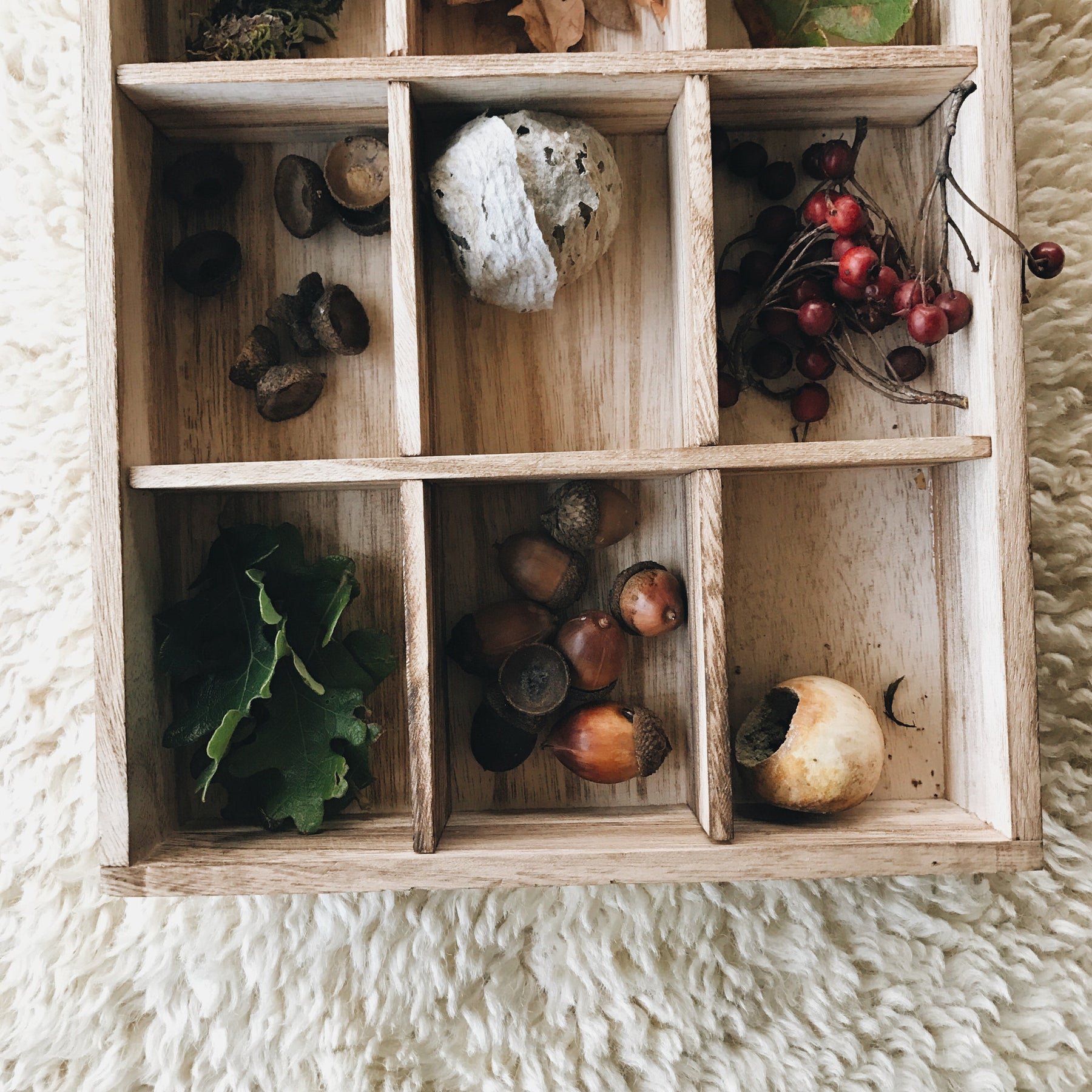 Nature Trays are a fun, intactive way to teach your children about the outdoors and collect the bits of nature they find interesting along the way!