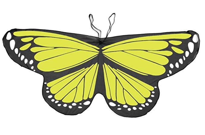 Tiger Swallowtail Butterfly Wings
