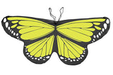 Tiger Swallowtail Butterfly Wings