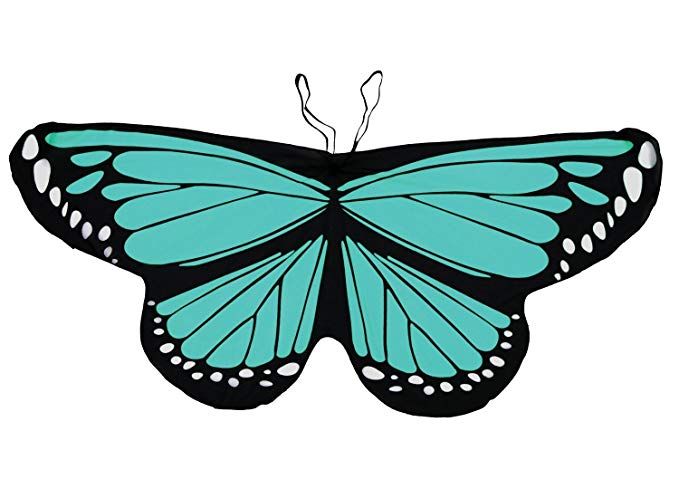 Malachite Butterfly Wings