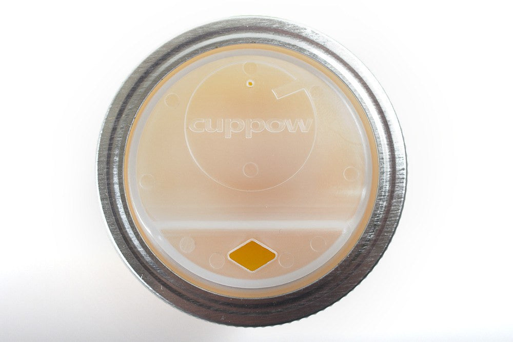 Cuppow Canning Jar Sippy Lid - fawn&forest