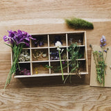 Nature Collection Tray