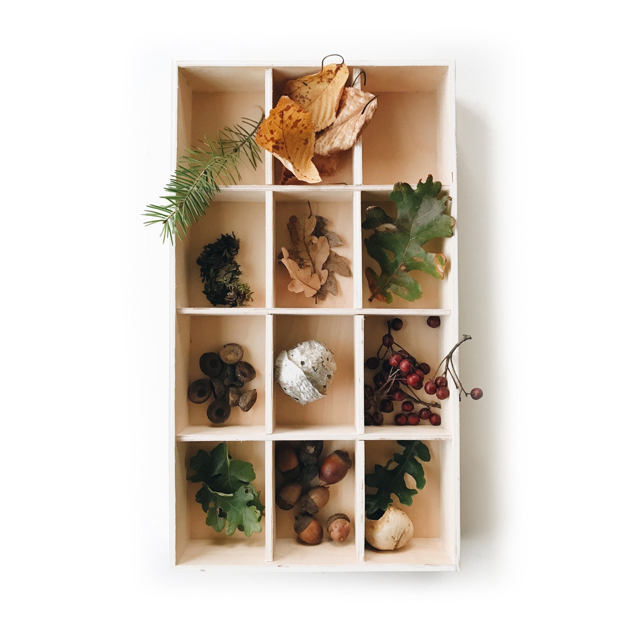 fawn&forest Nature Collection Tray - fawn&forest
