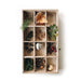 fawn&forest Nature Collection Tray - fawn&forest