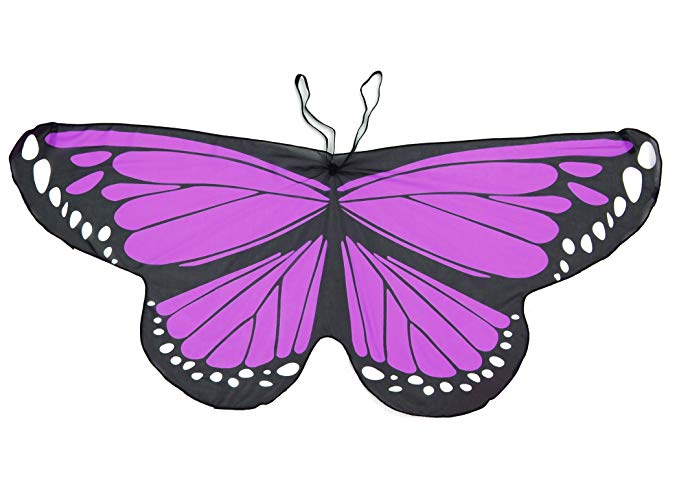 Purple Emperor Butterfly Wings